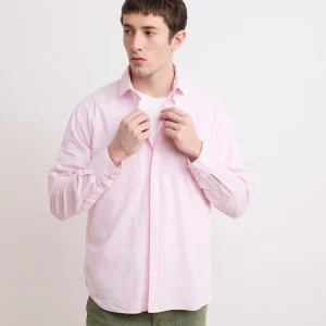 Chemise Homme en Voile De Coton Rose Pâle Paul