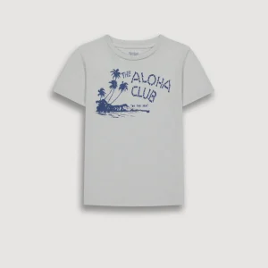 Tee-Shirt Garçon en Coton Slub Imprimé "Aloha" Gris