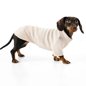 Pull polaire crème pour teckel