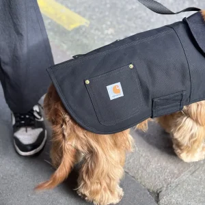 Manteau pour chien noir - Firm Duck Insulated Dog Chore Coat