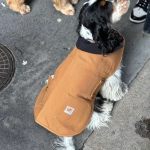 Manteau pour chien camel - Firm Duck Insulated Dog Chore Coat