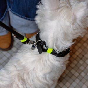 Collier Black&Yellow