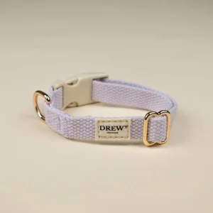 Collier chiot et chat Lavande