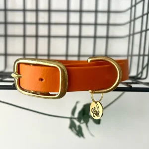 Collier biothane Orange