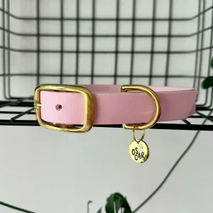 Collier biothane Rose