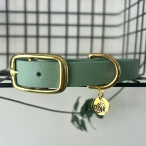 Collier biothane Vert sauge