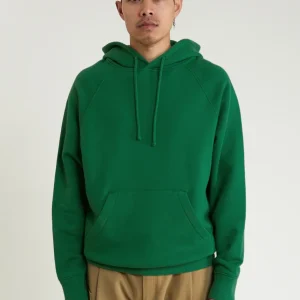 Hoodie Michigan vert