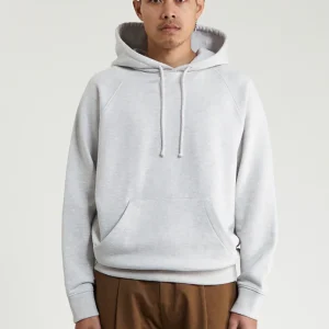 Hoodie Michigan gris