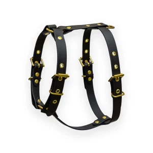 Harnais biothane Noir