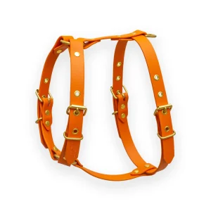 Harnais biothane Orange