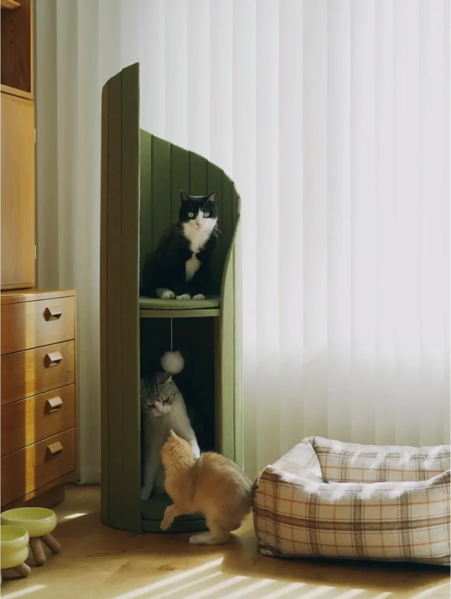 Time travel cat tower – Image 8